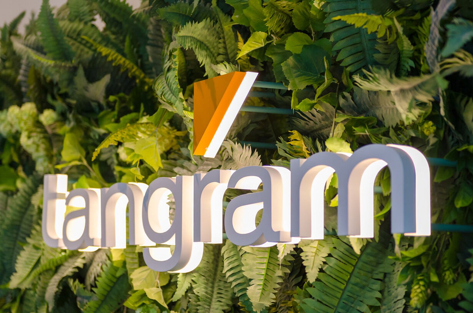 The Tangram logo mounted on a greenery wall is lighted by it's backlight leds.
