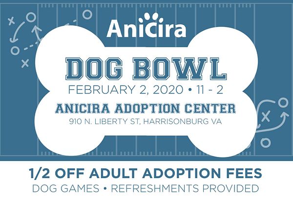 Anicira Dog Bowl February , 2020 11pm to 2pm Anicira Adoption Center 910 North Liberty Street, Harrisonburg VA