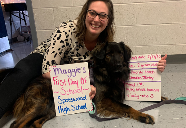 Maggie the brown and black dog on her first day of school as a therapy dog