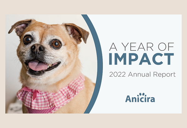 Cover of Anicira's 2022 Annual Report. A happy Pug-Beagle mix wearing a pink frilly harness smiles at the camera. The text reads 