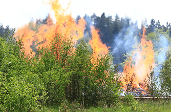 Wildfire with forest showing smoke and flames