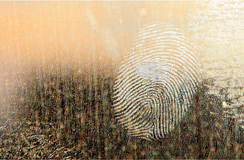 Fingerprint on glass