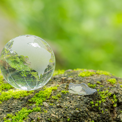 Closeup of glass globe in forest