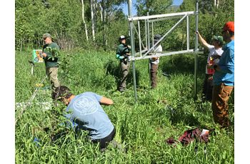 Several people erect a 6ft hight metal structure for science in an opening in the aspen trees.