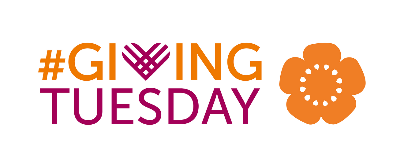 The Giving Tuesday logo in orange and magenta with the EngenderHealth flower on the right.