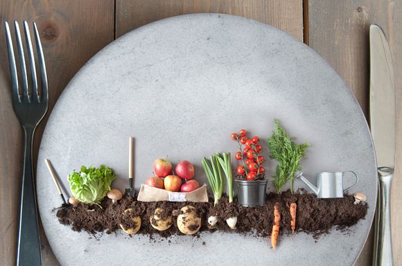 Vegetables planted in soil on a plate.