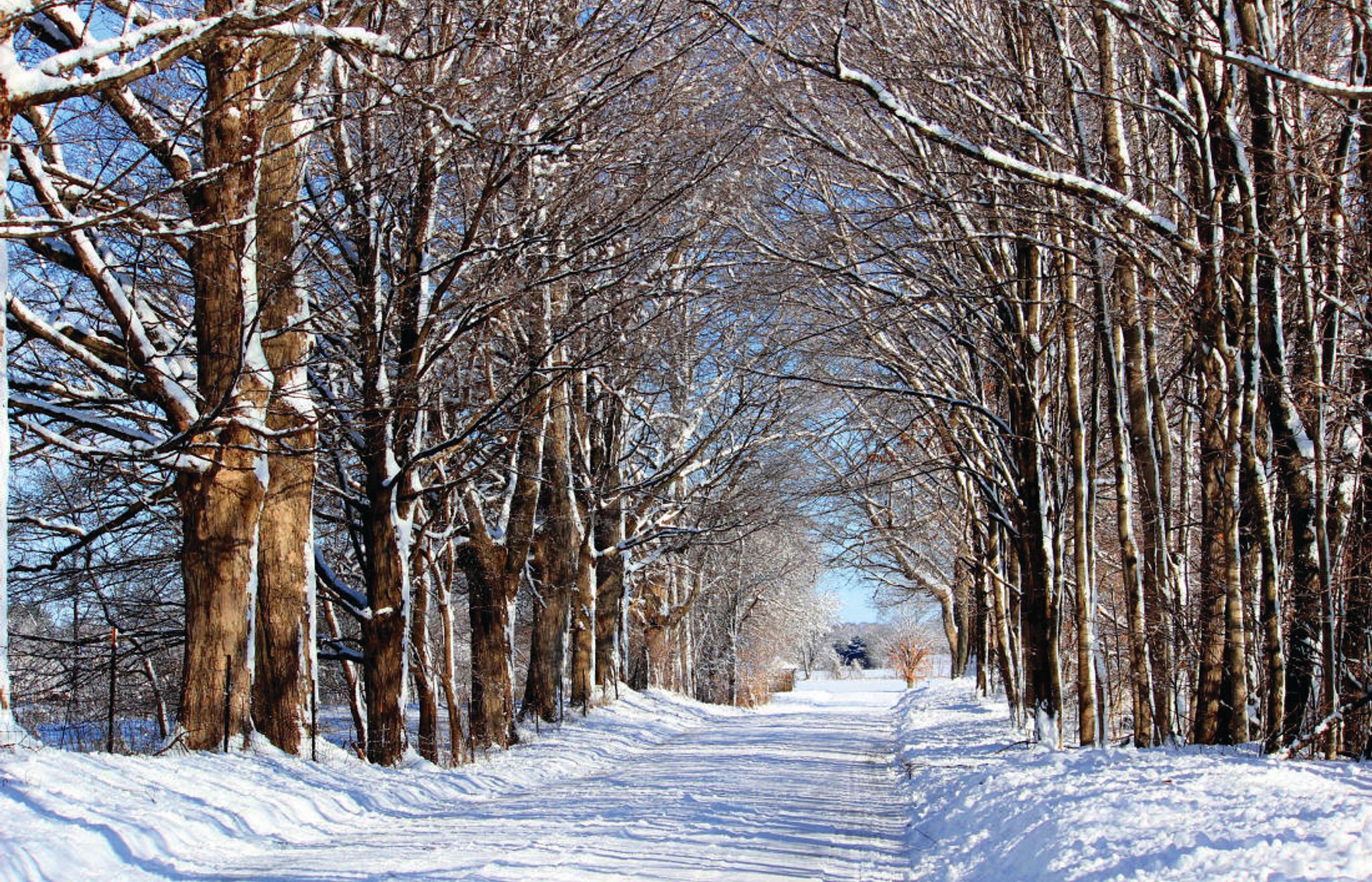 snowy-road-nreca