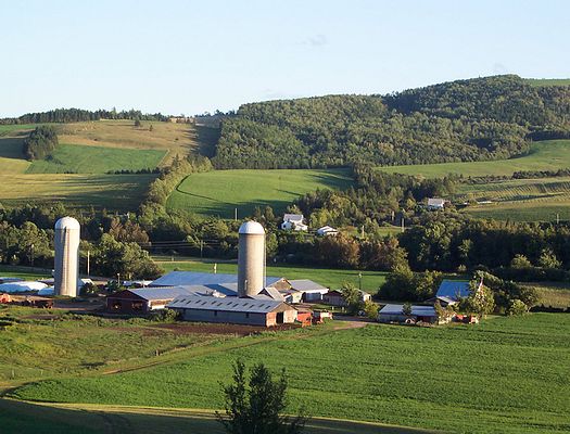 An aerial view of Sussex farm with a few buildings and two silos