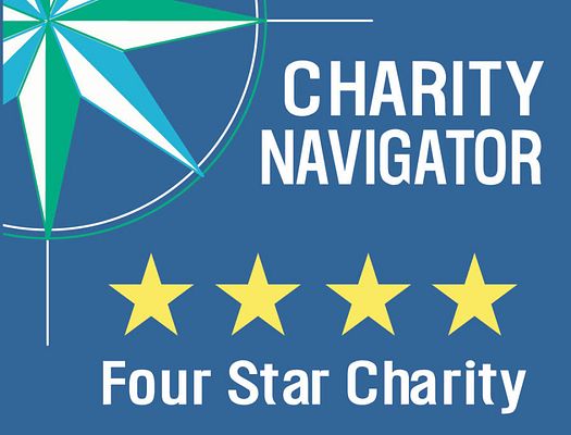 Four star charity award from Charity Navigator graphic