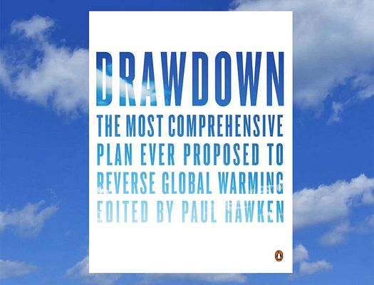 Book cover of Drawdown