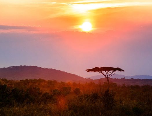 Sunset over the African savannah