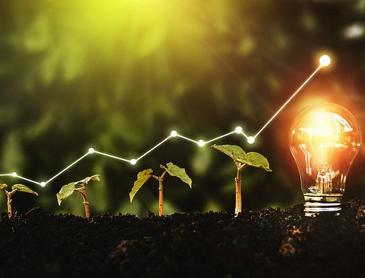 A stock image of plants growing into a lightbulb