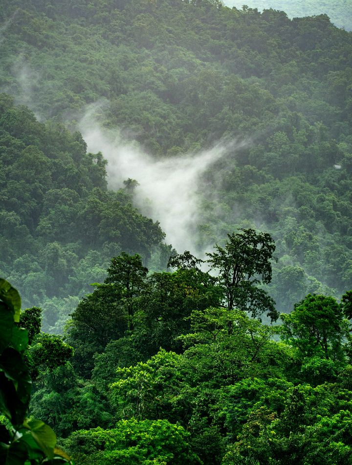 Arial view of green jungle with fog over the mountains