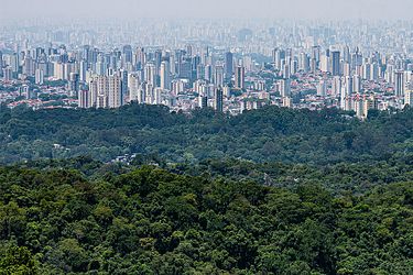 Arial of wooded area and a city scape meeting each other. The dramatic contrast of nature and urban area is shocking.