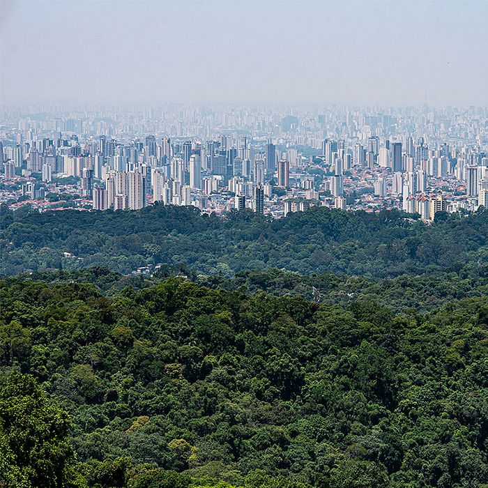 Arial of wooded area and a city scape meeting each other. The dramatic contrast of nature and urban area is shocking.