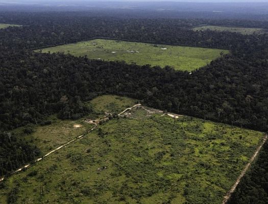 Several pockets of no trees in an aerial photo of the Amazon Rainforest