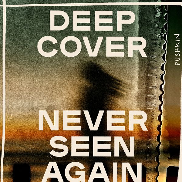 Thumbnail for Deep Cover: Never Seen Again